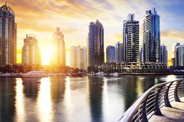 栖霞专业的政府采购价格